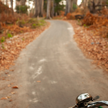 Cycling through Neil