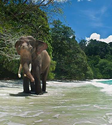 Snorkling