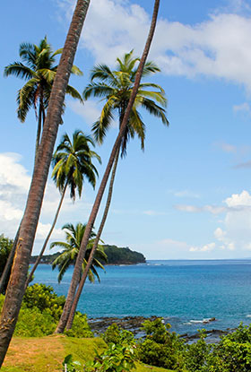 cruise ship port blair to havelock